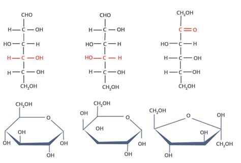 Carbohydrates Classification Structure And Uses Chemistry Aakash