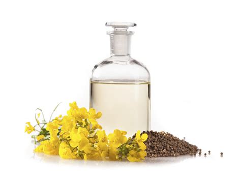 When it comes to canola oil, some people view it as a healthy food while others avoid it at all costs. Difference Between Canola and Vegetable Oil | eHow