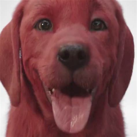 Clifford The Big Red Dog First Look