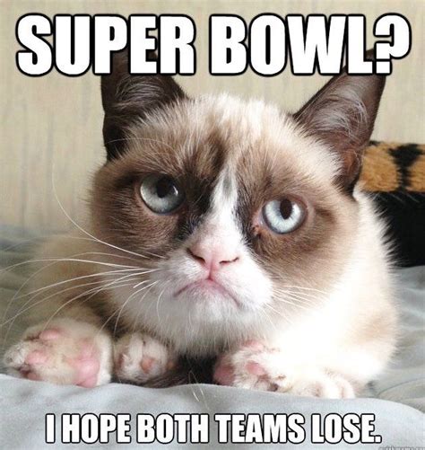 Some Friday Humor From Grumpy Cat Hope Everyone Has A Fun Super Bowl