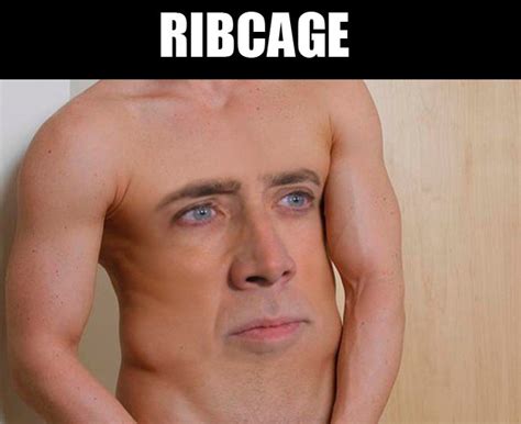 Image Nicolas Cage Know Your Meme
