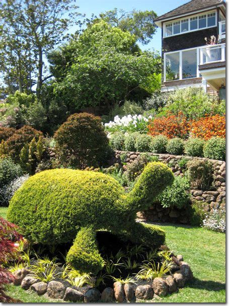 Pin By Donita K Paul On Turtle Topiary Garden Urban Garden Topiary