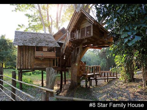 Tree House Thailand Chiang Mai In Depth Chronicle Picture Archive