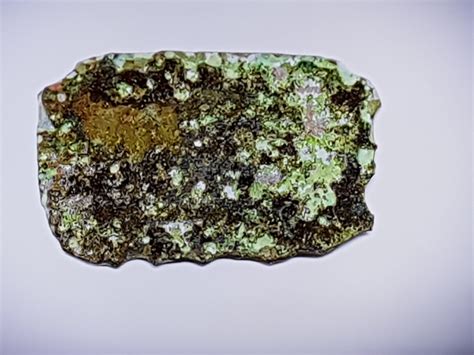 Curse of Oak Island archaeology update: Did they find an ancient