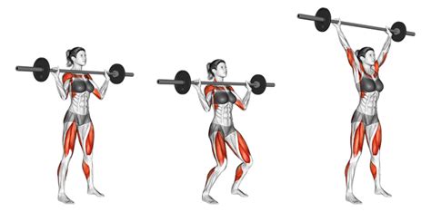 8 Highly Effective Upright Row Alternatives With Pictures Inspire Us
