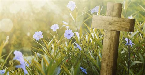 18 Bible Verses About Spring Beautiful Scripture Quotes