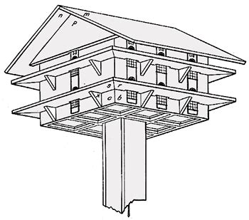 They are great tenants because they feed on insects. Purple Martin bird house plan
