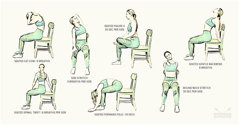 7 Easy Chair Stretches To Fix Back Pain Fitness And Mobility