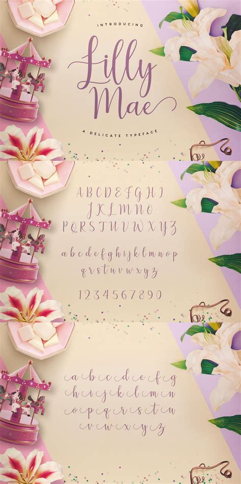 Lilly Mae Is A Swirly Modern Calligraphy Style Typeface Bought To You