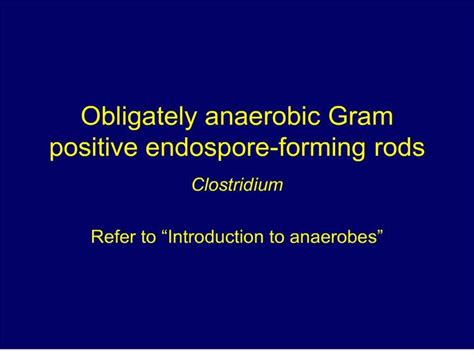 Ppt Obligately Anaerobic Gram Positive Endospore Forming