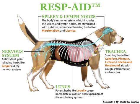 Nhv Dogs Resp Aid Natural Breathing Difficulty Support Nhv Natural