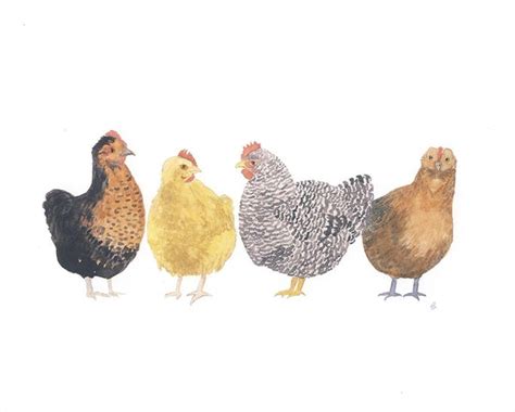 Chickens Art Print Watercolor Farmhouse Decor Yardia