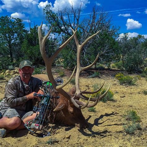 Trophy Bull Elk Hunting New Mexico Bmo Hunts
