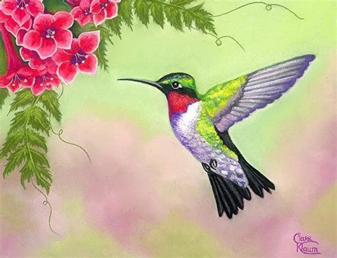 Acrylic Paintings Of Hummingbirds