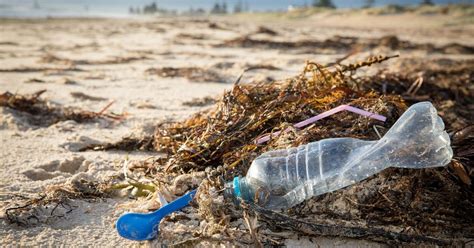 Ocean Plastic Returning To Aussie Coastlines Science News