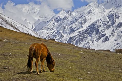 Himalayas By John Spies 500px Himalayas Natural Landmarks Mountains