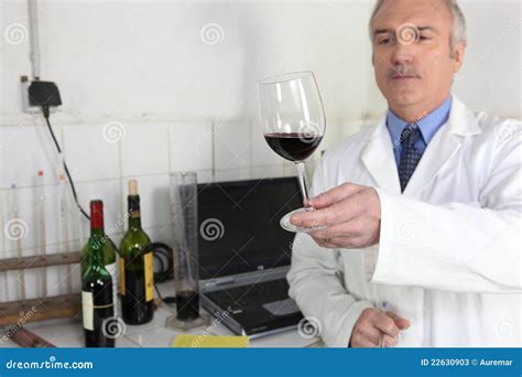 Oenologist Examining Glass Of Wine Stock Image Image Of Male Testing