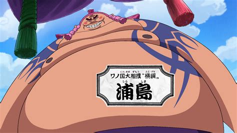 Yokozuna One Piece