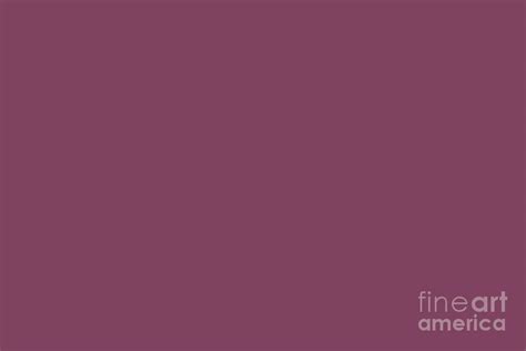 Dark Muted Fuchsia Purple Solid Color Ppg Wild Plum Ppg1044 7 All One