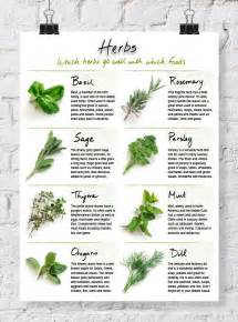 Handy Printable Herb Chart AllFreePaperCrafts Com Cooking Herbs Homemade Cookbook Herbs