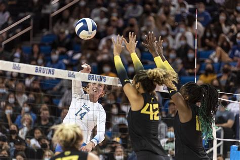 Gallery Ucla Womens Volleyball Upsets Oregon In Homecoming Weekend
