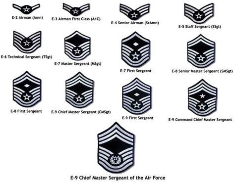 United States Air Force Enlisted Rank Insignia Wikipedia Download Pdf