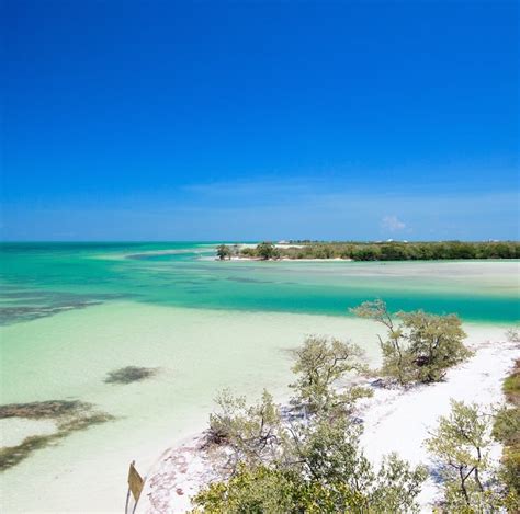 Top 5 Reasons To Visit Holbox Island Mexico Travel Off Path
