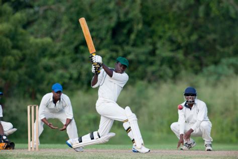 Kriket Foto Stok Unduh Gambar Sekarang Kriket Olahraga Subjek