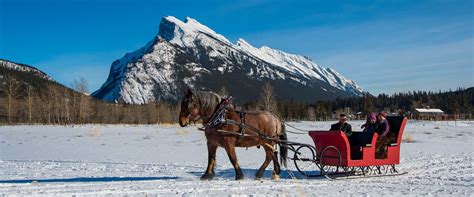 Banff Private Sleigh Ride Banff Trail Riders Official Website