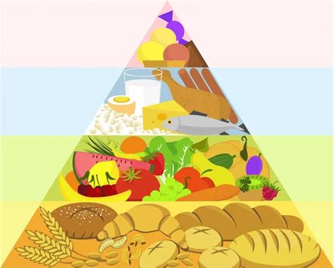 Free Vector Food Pyramid Rezfoods Resep Masakan Indonesia