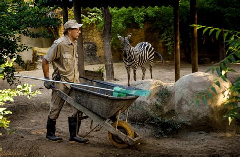 La Vida Entre Los Casi 600 Animales Del Zoo