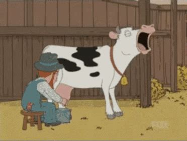 Dancing polish cow (loli cover) | earth chan. I Laughed So Hard At This 😂 GIF - Dairycow Familyguy Cow ...