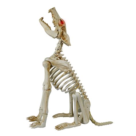 Have A Spooky Howl O Ween With The Animated Howling Wolf Skeleton Dog