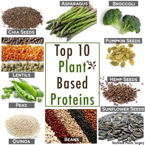 7 Delicious Plant Based Protein Sources For Vegans And Vegetarians
