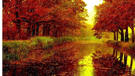 Wallpaper Download 1920x1080 Its Raining In The Park On Autumn