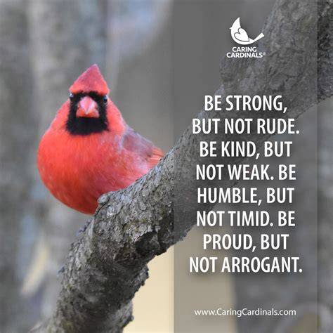 CARING CARDINALS | Cardinals, Caring, Loved one in heaven