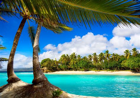 Vacation Beach Summer Tropical Sea Palms Paradise Ocean Wallpaper