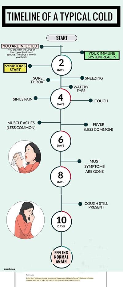 Essential Facts On The Common Cold By Mariaconleymd Medium