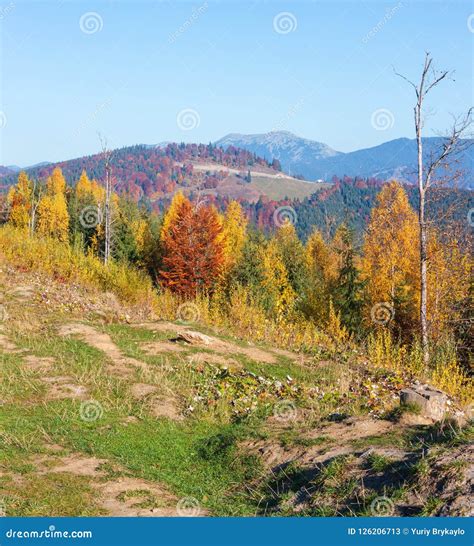 Morning Autumn Carpathians Landscape Stock Image Image Of Nature