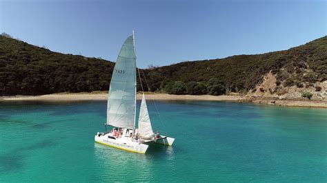 Barefoot Sailing Adventures Promo Code Save 10 New Zealand Travel Tips