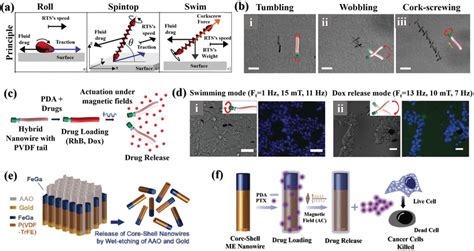 Piezoelectric Nano Biomaterials For Drug Delivery Applications A