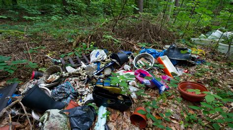 Müll Im Wald Kostet Brandenburg Millionen Bz Berlin