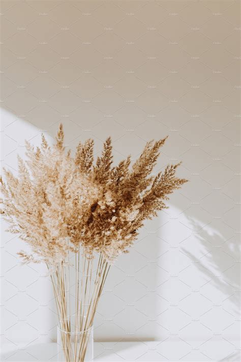 Reeds In Vase Stock Photo Containing Concept And Reed Flowers