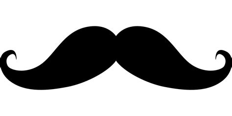 Handlebar moustache Movember - moustache png download - 1920*960 - Free png image