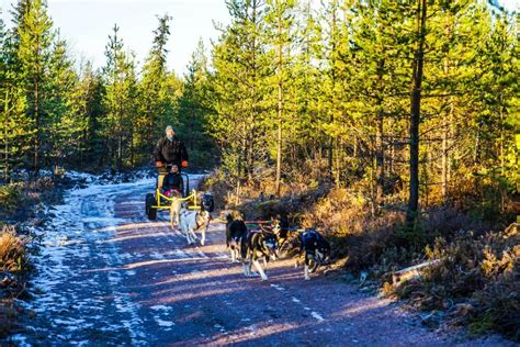 20 Fun Things To Do In Rovaniemi The Capital Of Lapland
