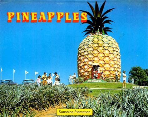 We Visited The Big Pineapple Too Several Times My Childhood 70s