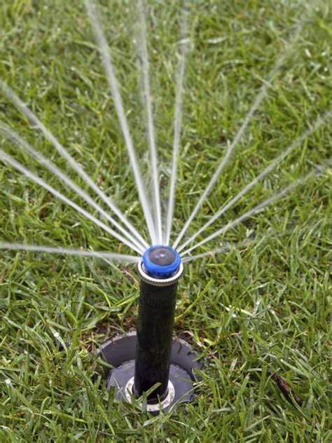 Again, that run time is based on typical situations. Learn the Right Way to Water Your Lawn | DIY