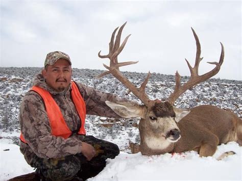 Navajo Nation Proclamation Hunt For Either Mule Deer Or Elk For One Hunter