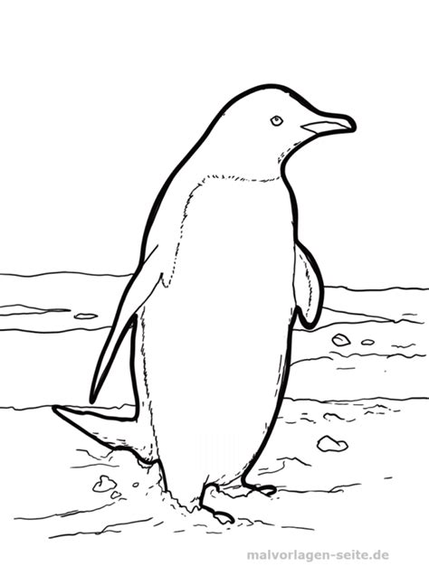 50 Ausmalbild Pinguin Malvorlagenostern