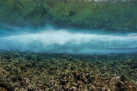 Under An Ocean Wave Photograph By Dave Fleetham Fine Art America